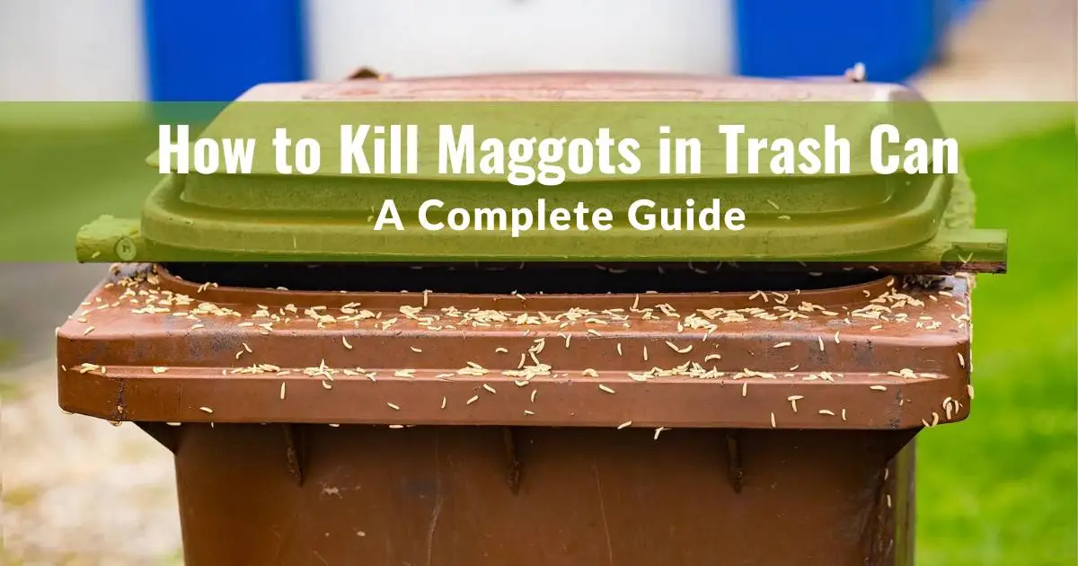 kill maggots in trash cans